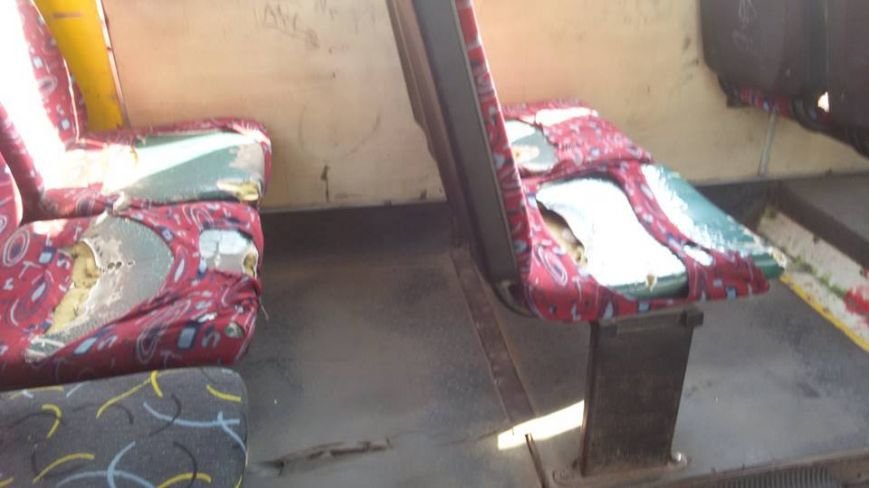 11401068_10153054083859492_7221182054120912602_n