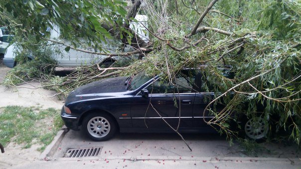 Наслідки вчоршньої негоди у Львові: у місті впало 3 дерева та обвисають обірвані дроти (ФОТО) (фото) - фото 1 Наслідки вчоршньої негоди у Львові: у місті впало 3 дерева та обвисають обірвані дроти (ФОТО) (фото) - фото 1