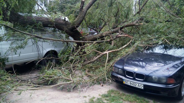 Наслідки вчоршньої негоди у Львові: у місті впало 3 дерева та обвисають обірвані дроти (ФОТО) (фото) - фото 1 Наслідки вчоршньої негоди у Львові: у місті впало 3 дерева та обвисають обірвані дроти (ФОТО) (фото) - фото 1