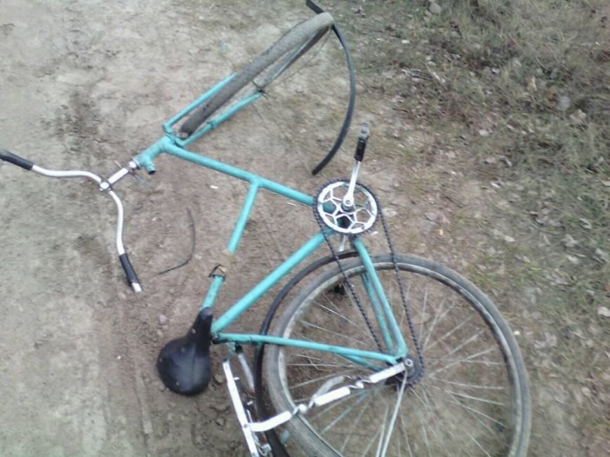 12696135_951297671584477_774061402_n