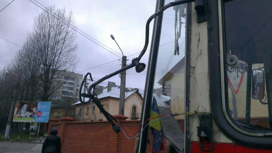 12873540_976116262435951_969889033_o