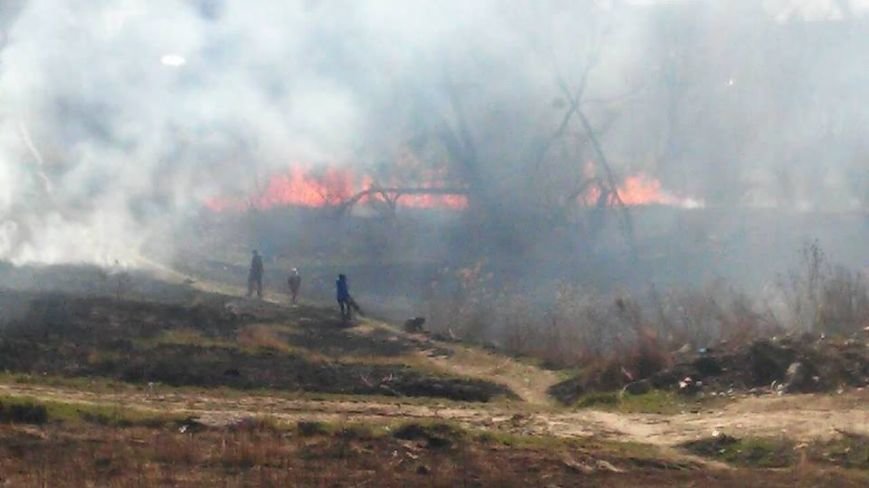 12919670_570404113135475_8206566736099418030_n