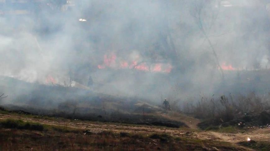 12347870_570404186468801_3807535742744634983_n