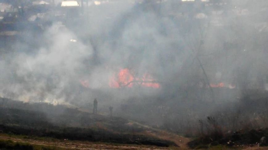 12472650_570404143135472_2176147757447587995_n