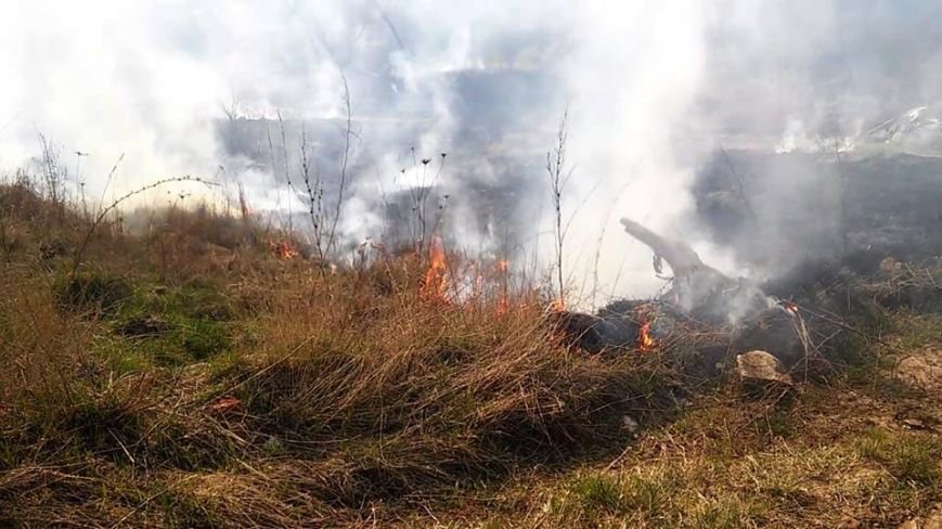 11218988_570404206468799_5909154046435672708_n