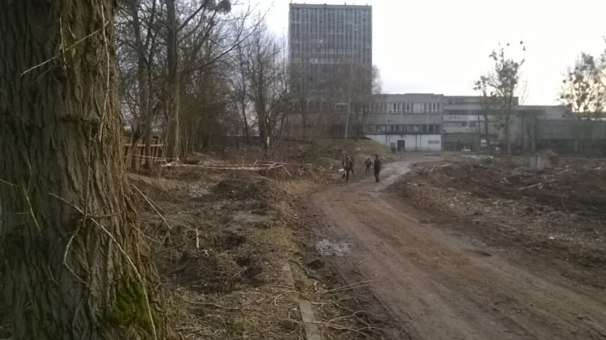 Забудовник не відшкодував збитків за самовільну вирубку на вул.Стрийській, 108 (ФОТО) (фото) - фото 1