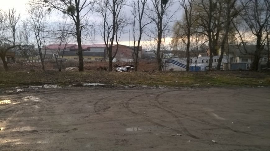 Забудовник не відшкодував збитків за самовільну вирубку на вул.Стрийській, 108 (ФОТО) (фото) - фото 1