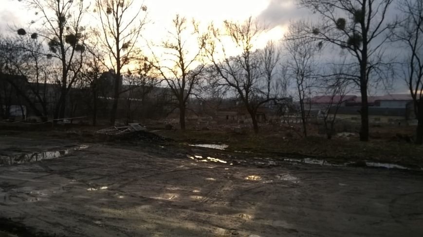 Забудовник не відшкодував збитків за самовільну вирубку на вул.Стрийській, 108 (ФОТО) (фото) - фото 1