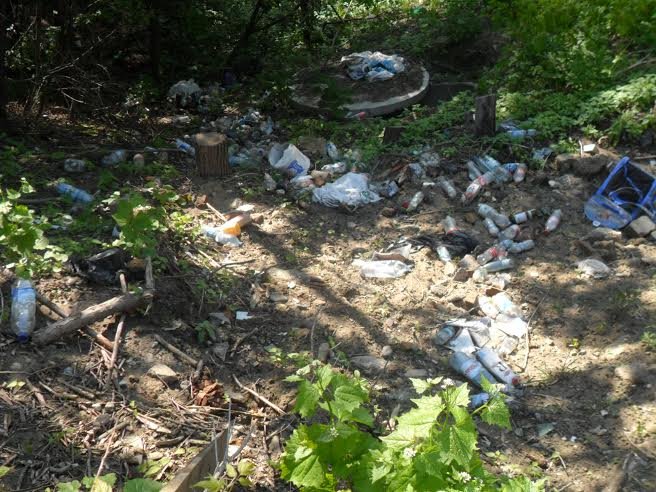 6690775f-d8fa-49c9-9eda-2f7748dfc38b