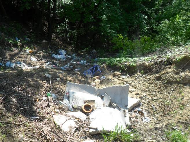 1a5b1637-7828-4ad4-a5b3-87a02c6b5862