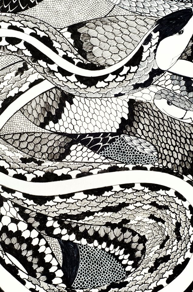 14257550_1131318450278735_6697824753485566318_o