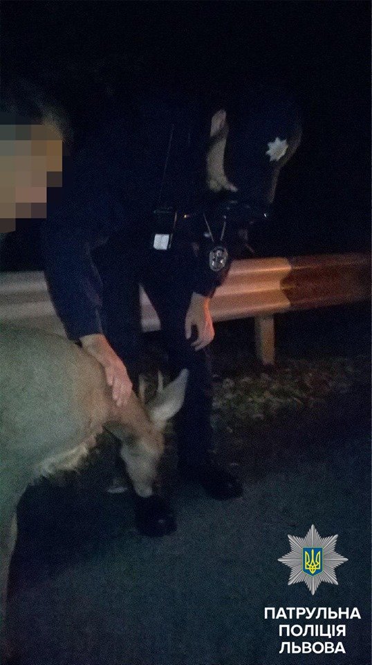 14369953_1598367753798324_5221008670555879986_n