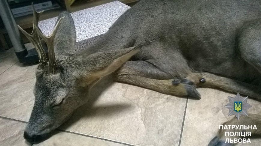 14369941_1598367760464990_6713992654194969364_n