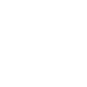 ariostea