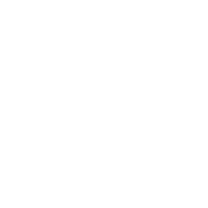 robertocavalli