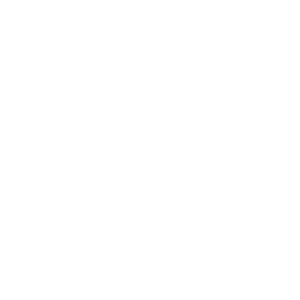 dsg